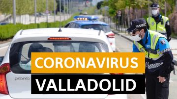 Coronavirus Valladolid: Última hora, noticias y datos hoy martes 21 de abril, en directo | Orthocoronavirinae