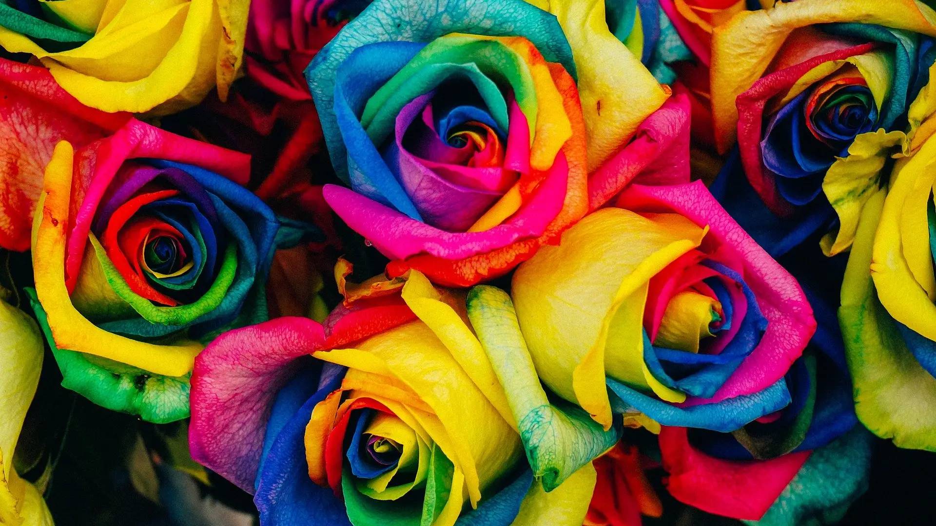 Sant Jordi 2020