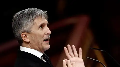 Fernando Grande-Marlaska Fernando Grande-Marlaska