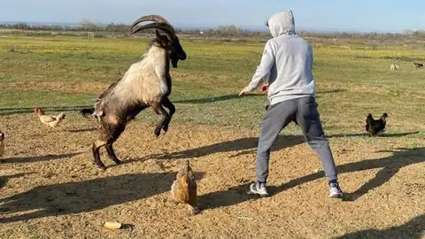 Zabit Magomedsharipov Zabit Magomedsharipov