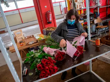 Sant Jordi 2020: Iniciativas y actividades para hacer en casa durante el confinamiento por el coronavirus Sant Jordi 2020: Iniciativas y actividades para hacer en casa durante el confinamiento por el coronavirus