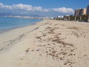 La playa de Palma vacía en pleno mes de abril, debido al Estado de alarma que ha provocado la crisis sanitaria. 