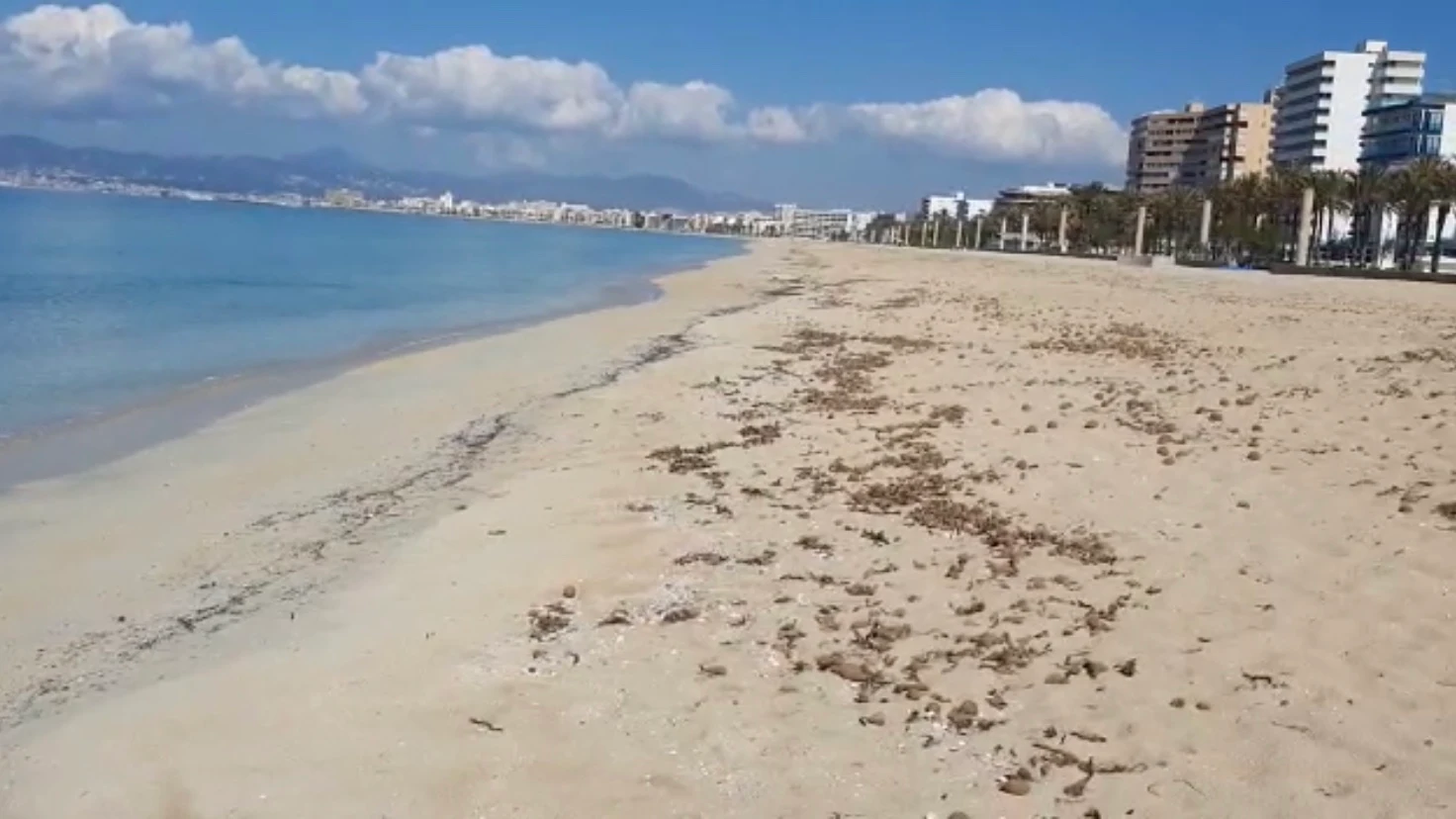 La playa de Palma vac&iacute;a en pleno mes de abril, debido al Estado de alarma que ha provocado la crisis sanitaria. 