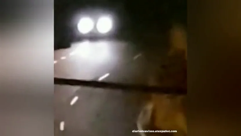 ´Multan a un conductor por circular a alta velocidad simulando un rally ´Multan a un conductor por circular a alta velocidad simulando un rally