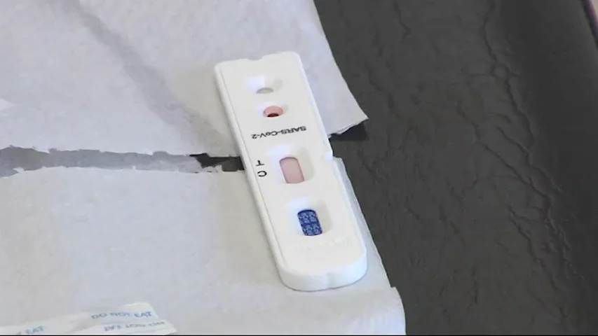 Galicia, primera comunidad autónoma en realizar su propio estudio epidemiológico para detectar el coronavirus Galicia, primera comunidad autónoma en realizar su propio estudio epidemiológico para detectar el coronavirus
