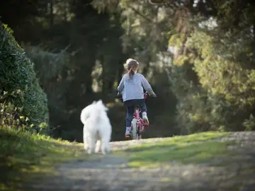 Una niña montando en bicicleta Una niña montando en bicicleta