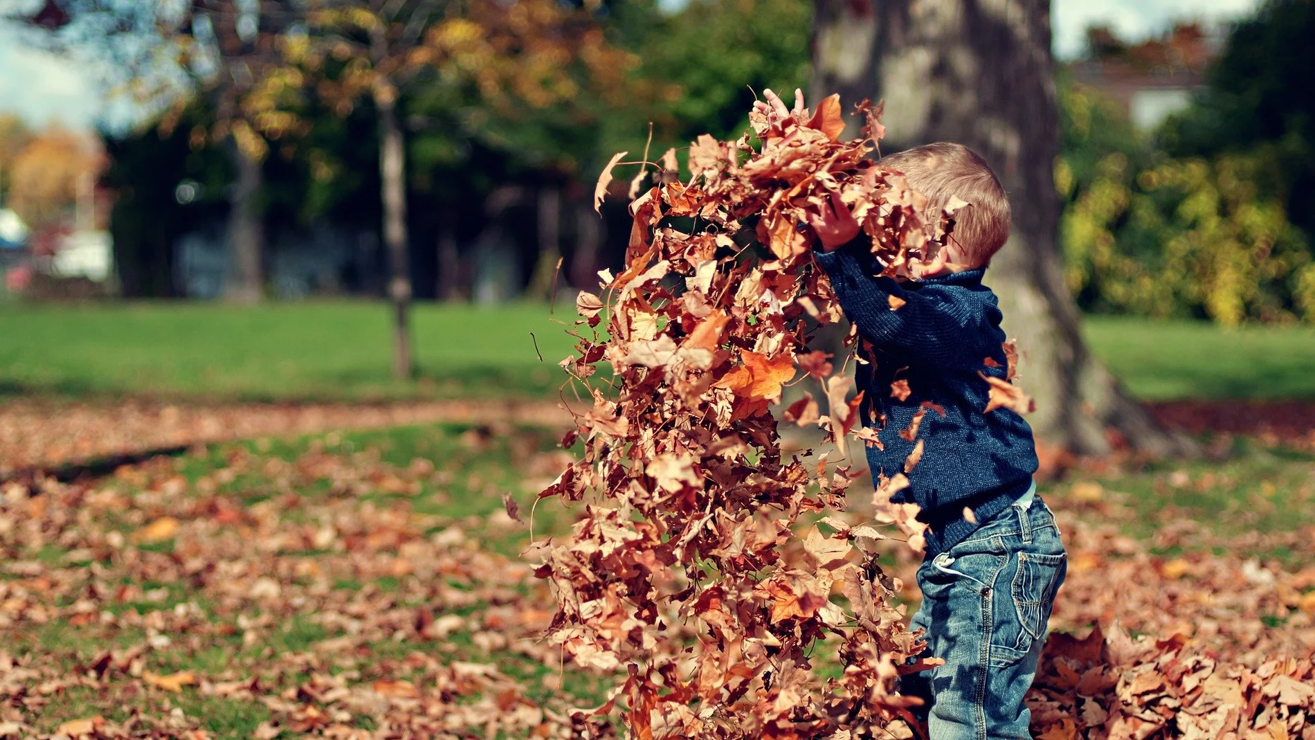 Desconfinamiento niños: Juegos para hacer con los niños al salir a la calle Desconfinamiento niños: Juegos para hacer con los niños al salir a la calle