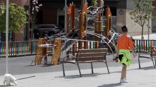 Imagen de un ni&ntilde;o paseando a su perro
