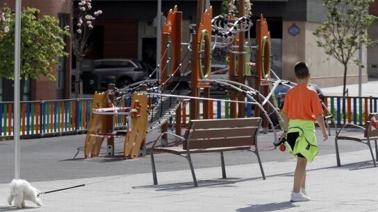 Imagen de un ni&ntilde;o paseando a su perro