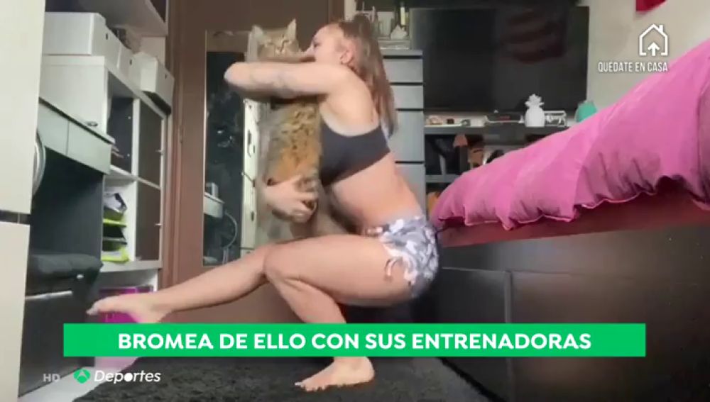 El entrenamiento de la gimnasta Roxana Popa con sus gatos durante el confinamiento por coronavirus