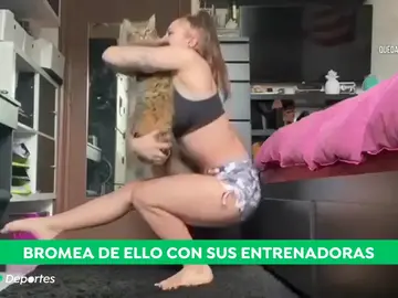 El entrenamiento de la gimnasta Roxana Popa con sus gatos durante el confinamiento por coronavirus El entrenamiento de la gimnasta Roxana Popa con sus gatos durante el confinamiento por coronavirus