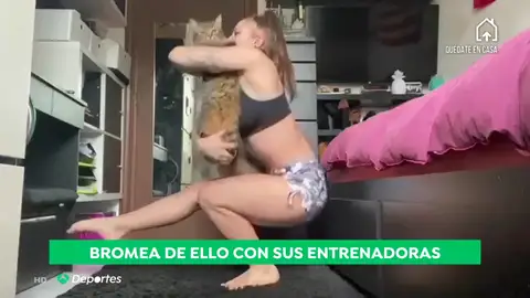 El entrenamiento de la gimnasta Roxana Popa con sus gatos durante el confinamiento por coronavirus El entrenamiento de la gimnasta Roxana Popa con sus gatos durante el confinamiento por coronavirus