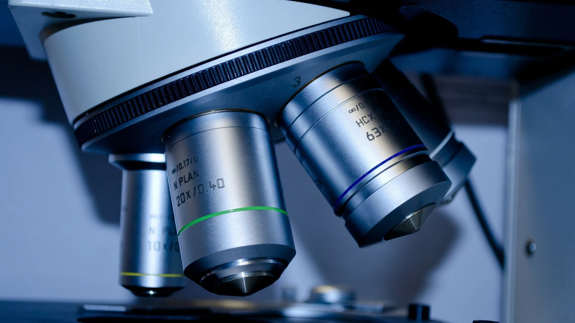 Este estudio permitirá conocer la incidencia del coronavirus Este estudio permitirá conocer la incidencia del coronavirus