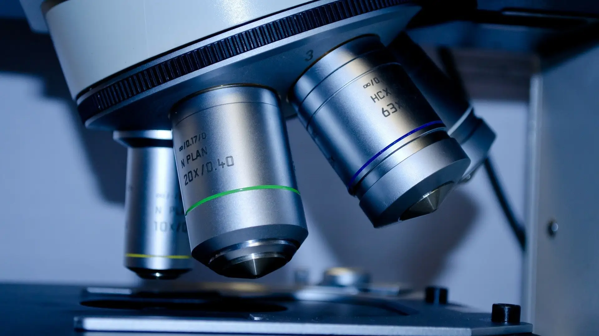 Este estudio permitirá conocer la incidencia del coronavirus Este estudio permitirá conocer la incidencia del coronavirus