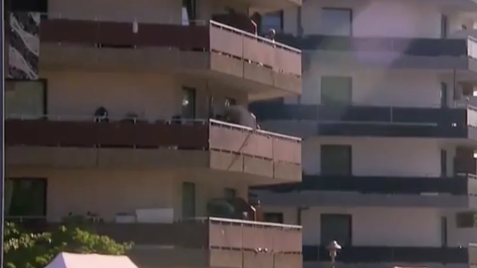 Realizan pruebas a todos los vecinos de una zona residencial en Alemania Realizan pruebas a todos los vecinos de una zona residencial en Alemania