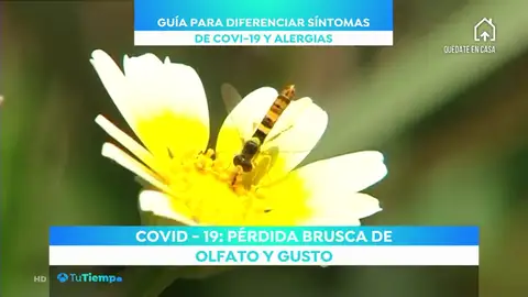 Alergias alergia