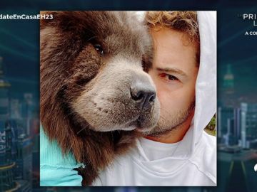 El confinamiento de David Bisbal: amor de familia y cinco perros en casa