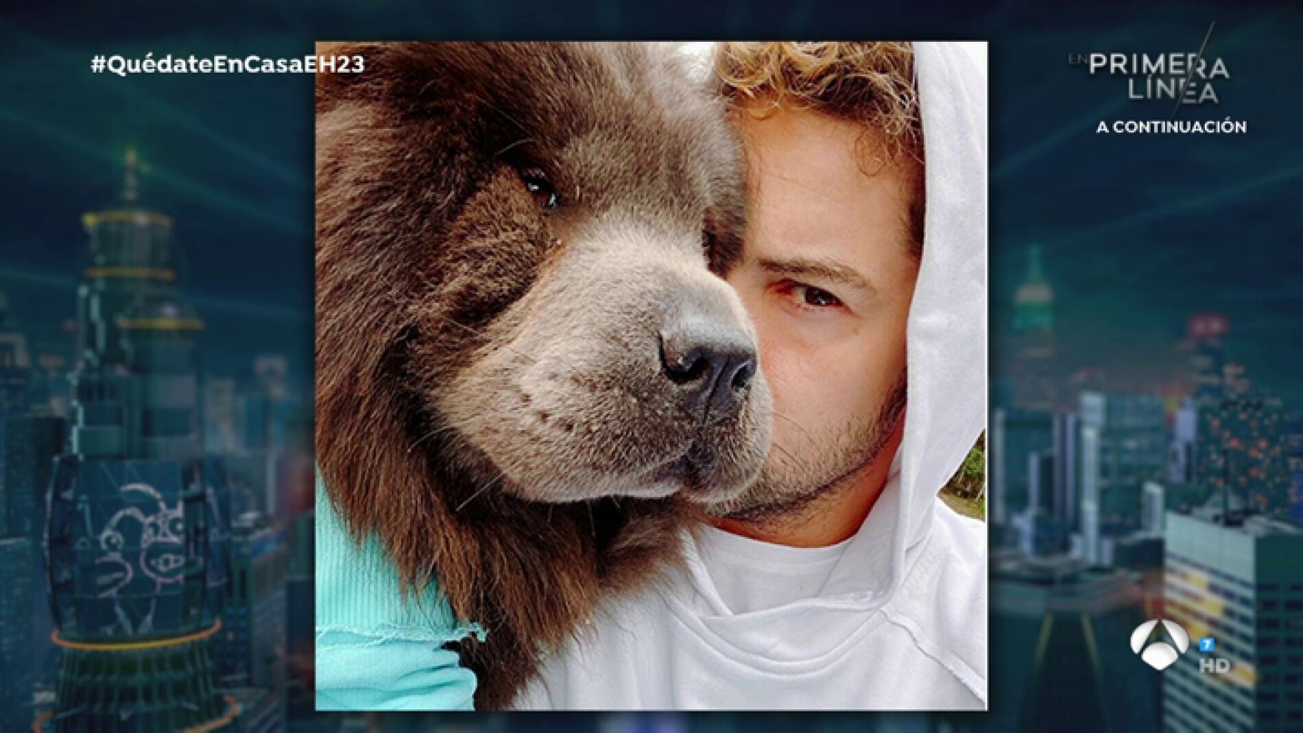 El confinamiento de David Bisbal: amor de familia y cinco perros en casa