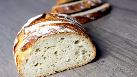 Masa madre Masa madre
