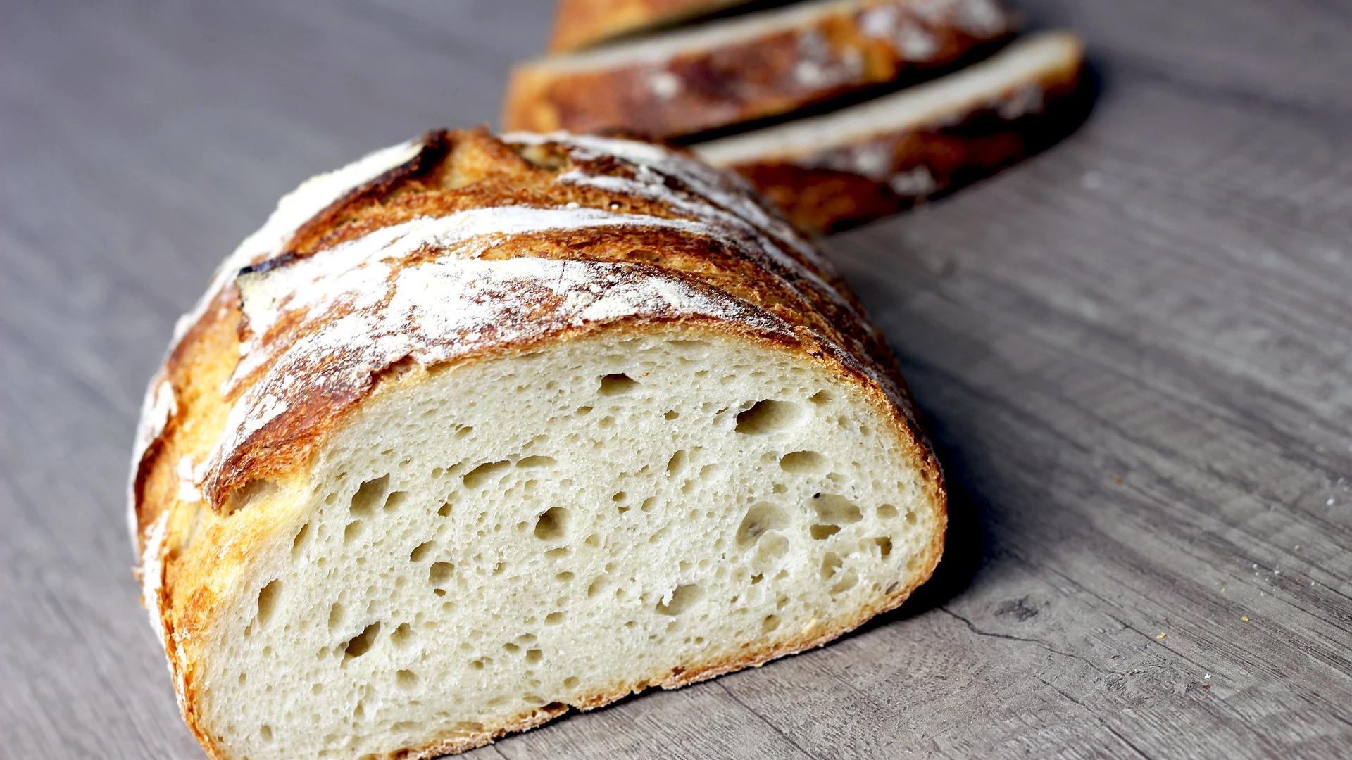 Masa madre Masa madre