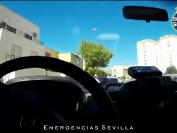 Arriesgada persecución y detención de un joven tras fugarse de un control policial en Sevilla Arriesgada persecución y detención de un joven tras fugarse de un control policial en Sevilla