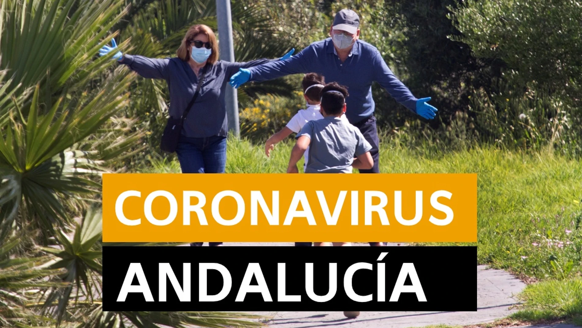 Coronavirus Andalucía: Desescalada, datos de muertos y contagios y últimas noticias hoy, en directo | Última hora Andalucía Coronavirus Andalucía: Desescalada, datos de muertos y contagios y últimas noticias hoy, en directo | Última hora Andalucía