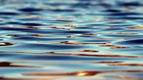 Zaragoza analizará las aguas fecales por el virus Zaragoza analizará las aguas fecales por el virus