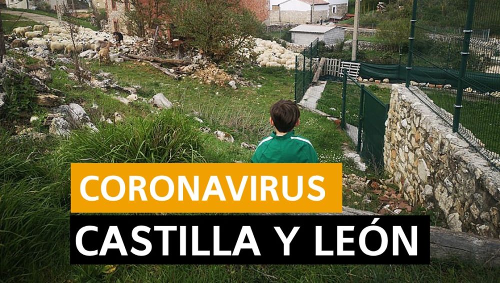 Coronavirus Castilla y León hoy: Fase 1 desescalada, datos de hoy y últimas noticias viernes 22 de mayo, en directo | Última hora Castilla y León