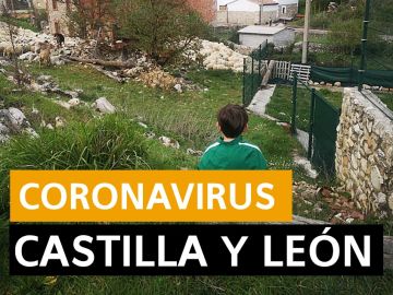 Coronavirus Castilla y León hoy: Fase 1 desescalada, datos de hoy y últimas noticias viernes 22 de mayo, en directo | Última hora Castilla y León