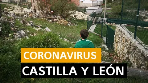 Coronavirus Castilla y León hoy: Fase 1 desescalada, datos de hoy y últimas noticias viernes 22 de mayo, en directo | Última hora Castilla y León Coronavirus