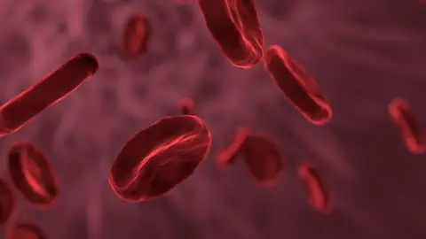 Glóbulos rojos Glóbulos rojos
