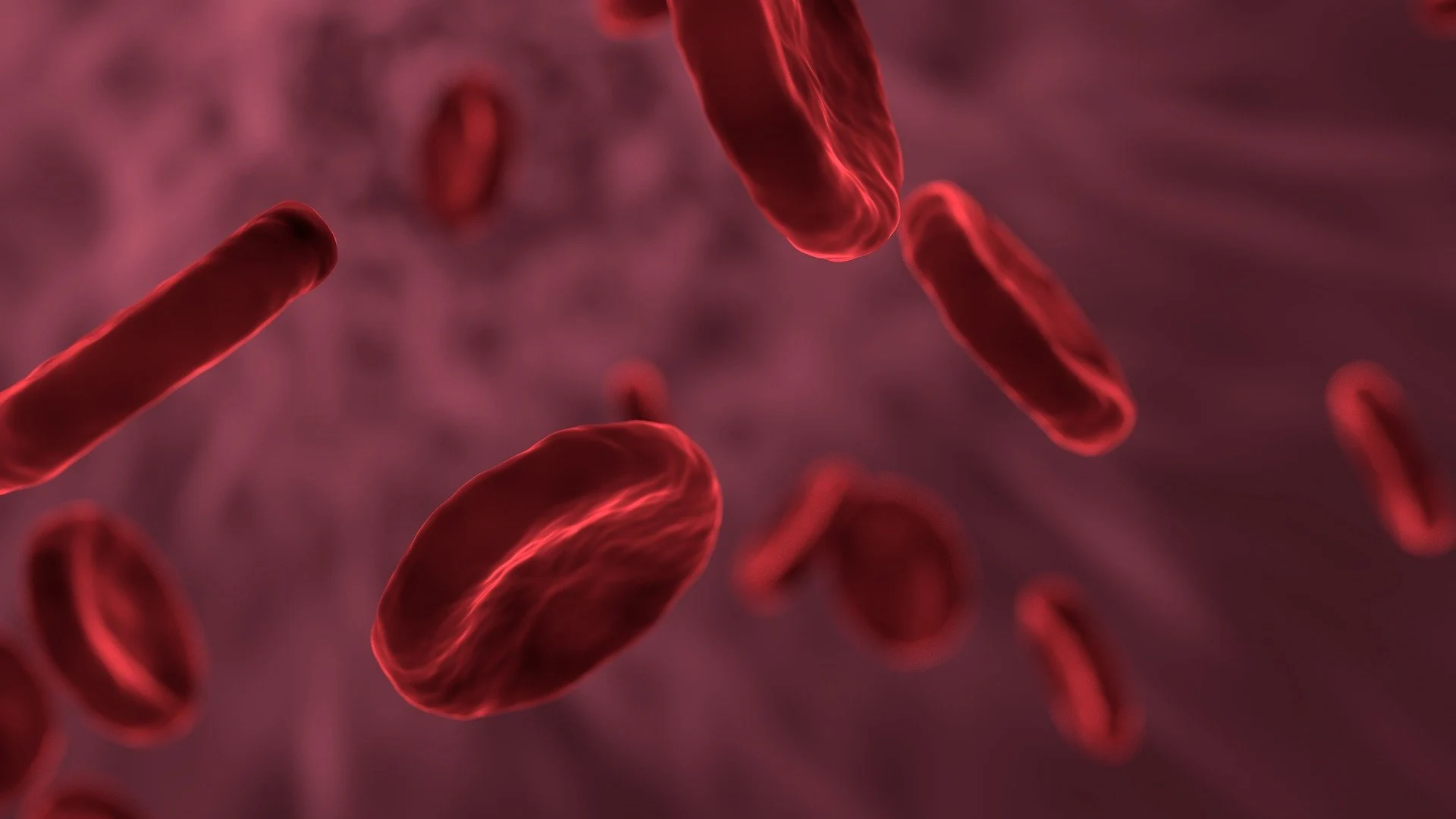 Glóbulos rojos Glóbulos rojos