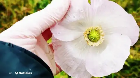 Piden una desescalada del coronavirus sostenible para evitar el 'retorno' de la contaminación a las ciudades Piden una desescalada del coronavirus sostenible para evitar el 'retorno' de la contaminación a las ciudades