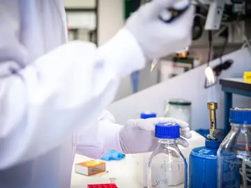 Investigadores espanoles desarrollan farmacos antivirales para impedir el transporte del coronavirus dentro de las celulas Investigadores espanoles desarrollan farmacos antivirales para impedir el transporte del coronavirus dentro de las celulas
