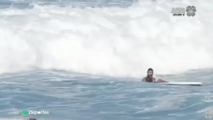 surf surf