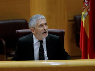 Fernando Grande-Marlaska, ante la Comisión de Interior en el Senado