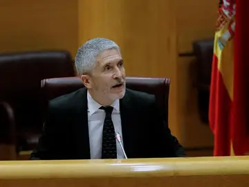Fernando Grande-Marlaska, ante la Comisión de Interior en el Senado Fernando Grande-Marlaska, ante la Comisión de Interior en el Senado