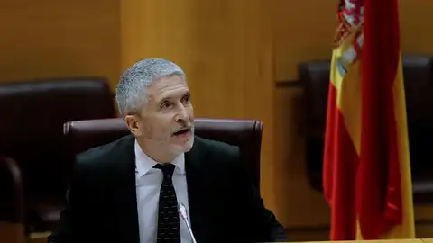 Fernando Grande-Marlaska, ante la Comisión de Interior en el Senado Fernando Grande-Marlaska, ante la Comisión de Interior en el Senado