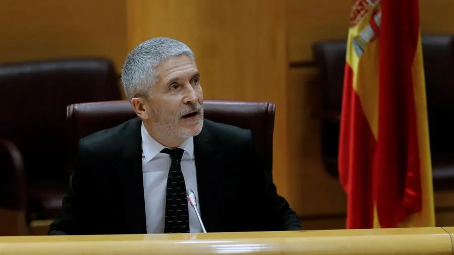 Fernando Grande-Marlaska, ante la Comisión de Interior en el Senado Fernando Grande-Marlaska, ante la Comisión de Interior en el Senado