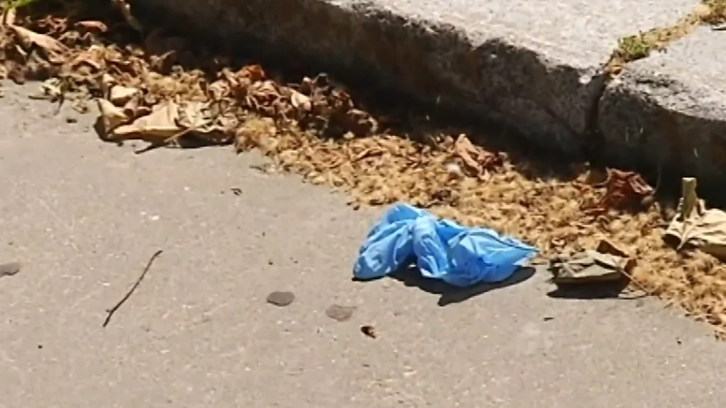 Multas por tirar mascarillas y guantes al suelo Multas por tirar mascarillas y guantes al suelo