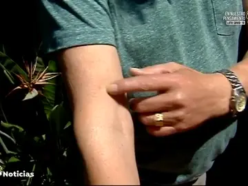 Los vecinos de Castellón, preocupados por la plaga masiva de mosquitos: "Te pican a través de la ropa" Los vecinos de Castellón, preocupados por la plaga masiva de mosquitos: "Te pican a través de la ropa"