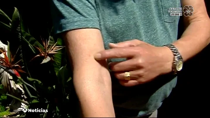Los vecinos de Castellón, preocupados por la plaga masiva de mosquitos: "Te pican a través de la ropa" Los vecinos de Castellón, preocupados por la plaga masiva de mosquitos: "Te pican a través de la ropa"