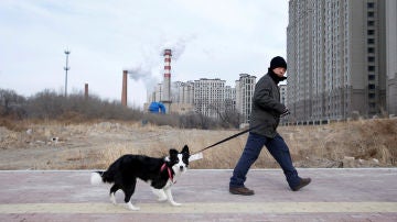 Un hombre pasea a su perro en Harbin (China)