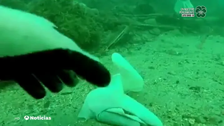 Las im&aacute;genes de cientos de guantes y mascarillas contra el coronavirus tiradas en el suelo