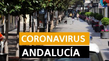Coronavirus Andalucía: Desescalada, datos de contagios y muertos y últimas noticias de hoy lunes 1 de junio, en directo | Última hora Andalucía