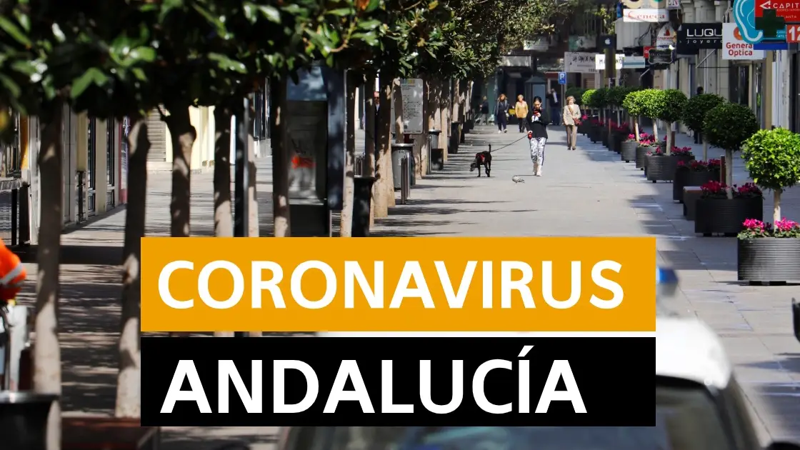 Coronavirus Andalucía: Desescalada, datos de contagios y muertos y últimas noticias de hoy lunes 1 de junio, en directo | Última hora Andalucía Coronavirus Andalucía: Desescalada, datos de contagios y muertos y últimas noticias de hoy lunes 1 de junio, en directo | Última hora Andalucía