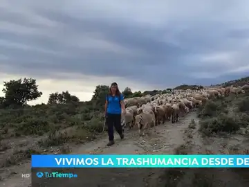 La trashumancia desde dentro. La trashumancia desde dentro.