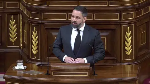 Abascal dice que no tendría problema en ser cacheado y que se debía hacer control de drogas a los diputados Abascal