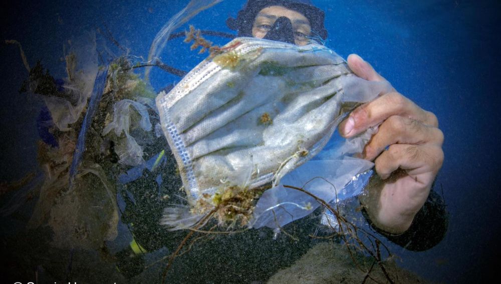 Las mascarillas inundan el mar, ya se han convertido en un grave problema de contaminación