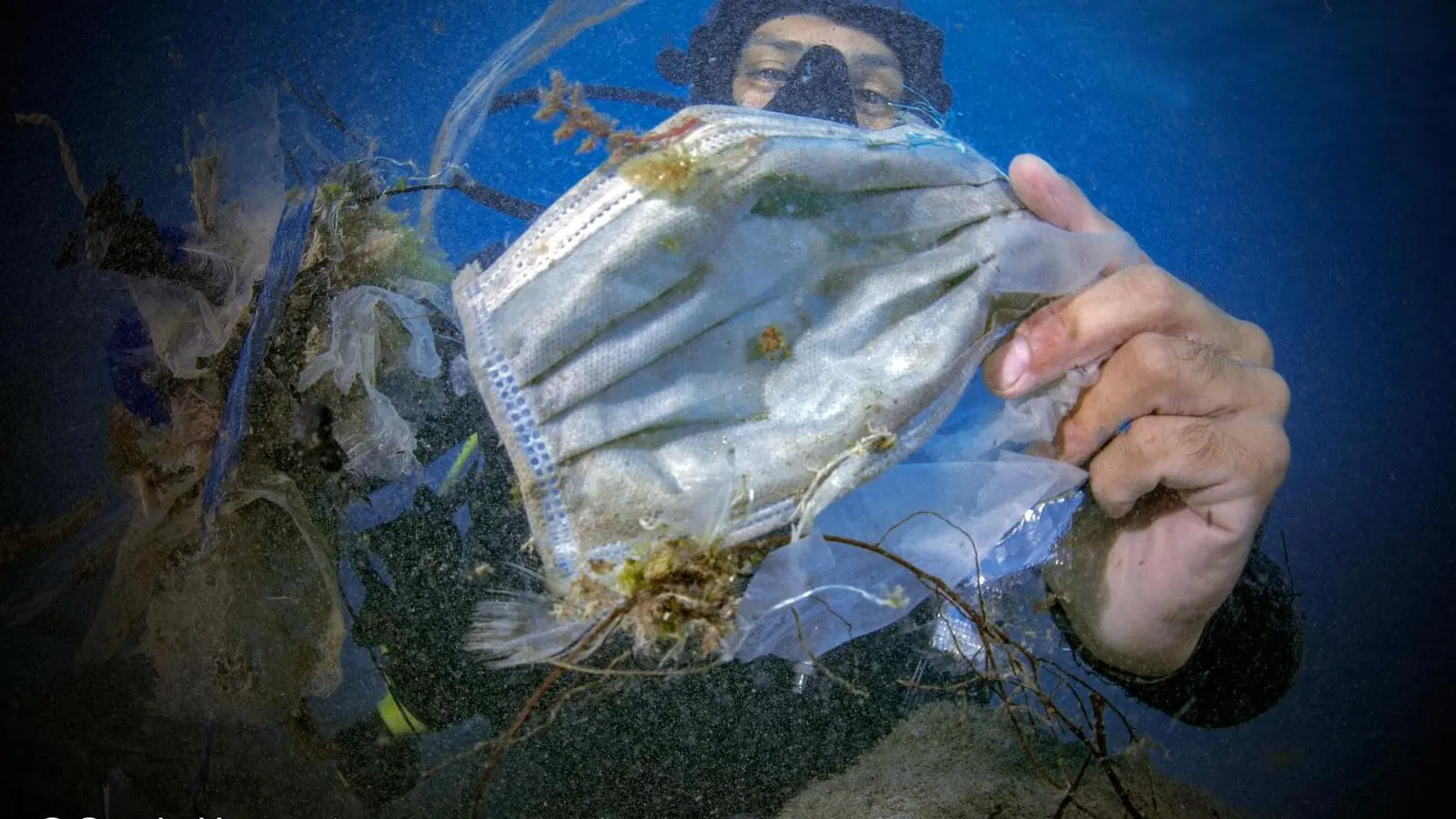 Las mascarillas inundan el mar, ya se han convertido en un grave problema de contaminación Las mascarillas inundan el mar, ya se han convertido en un grave problema de contaminación